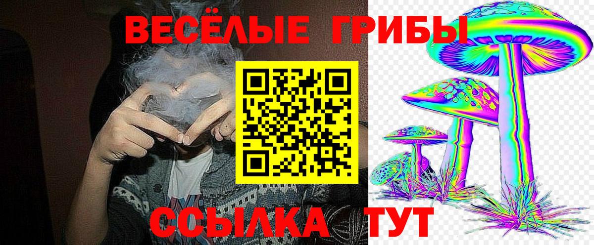 Галлюциногенные грибы MAGIC MUSHROOMS Асино