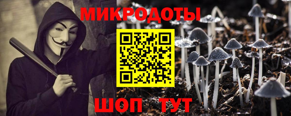Асино  где купить наркоту  Вход с VPN  Галлюциногенные грибы Psilocybine cubensis  Псилоцибиновые грибы Psilocybe 